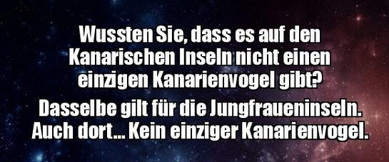 7Unbenannt - Kopie.JPG