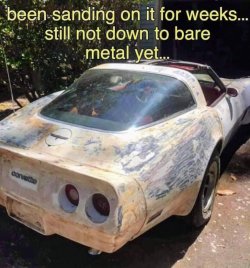vette.jpeg