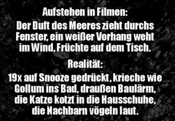 bbUnbenannt - Kopie.JPG