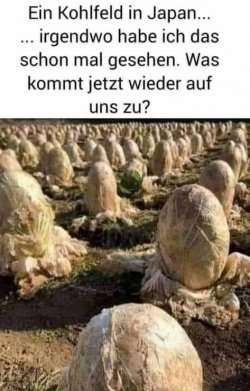 1Unbenannt - Kopie.JPG