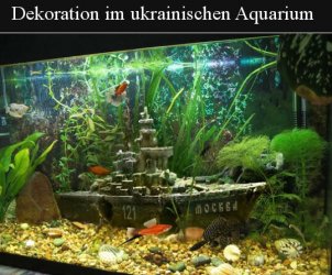 8Unbenannt - Kopie.JPG