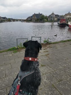 IMG-20220429-WA0005.jpg IMG-20220429-WA0005.jpg