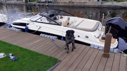 IMG-20220506-WA0002.jpg IMG-20220506-WA0002.jpg