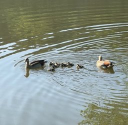 F319849C-5D3B-4575-BAAE-740B0B531B73.jpeg