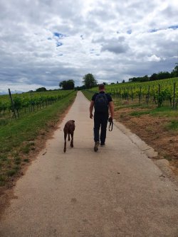 IMG-20220526-WA0011.jpg IMG-20220526-WA0011.jpg