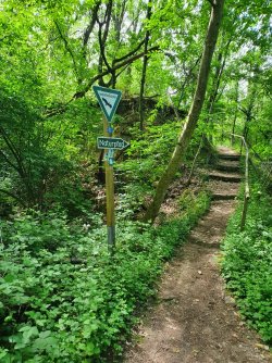 IMG-20220526-WA0041.jpg IMG-20220526-WA0041.jpg