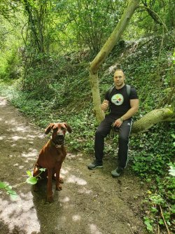 IMG-20220526-WA0043.jpg IMG-20220526-WA0043.jpg