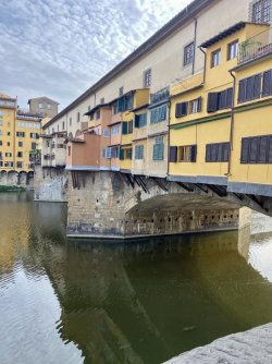 07D03445-0E77-4542-A293-595F3B073445.jpeg
