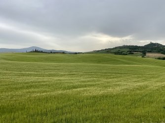 2AE5384D-5C66-4446-8187-3AC0542C161F.jpeg