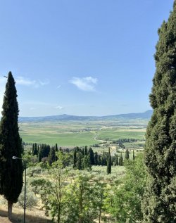 2F656D17-B3C5-42CB-928C-C8AE91458235.jpeg