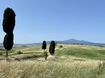 6C67E4C8-52FB-4171-943A-A06D03B762B7.jpeg