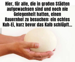 1653915192503.png