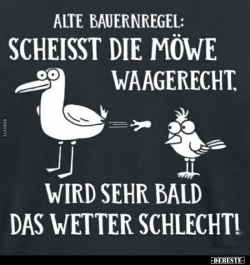 1653928784762.png