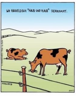 3Unbenannt - Kopie.JPG
