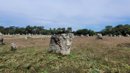 20220603_121349.jpg 20220603_121349.jpg