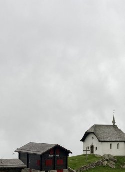 A1FF9762-493A-43D3-A2FD-6E9A8FD1A2B6.jpeg
