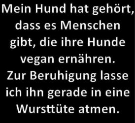12Unbenannt - Kopie.JPG