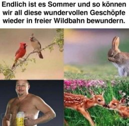 11Unbenannt - Kopie.JPG
