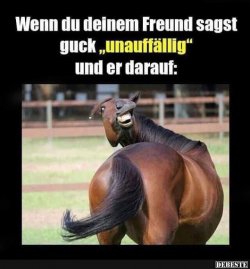 f0b230aa613193fb3ea34815562ba44e.jpg