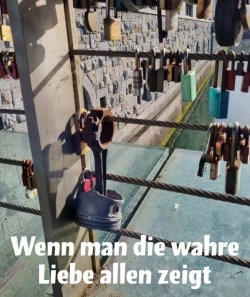 7B04433F-EC96-4036-9F01-DE49E83660A7.jpeg
