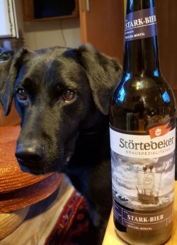 zUnbenannt - Kopie.JPG