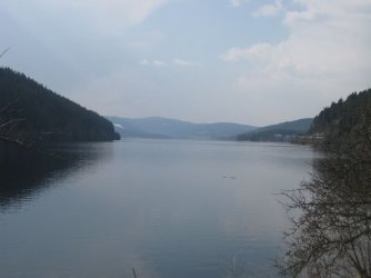 IMG_1671.jpg