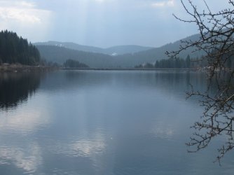IMG_1672.jpg