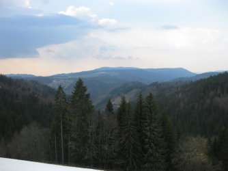 IMG_1673.jpg