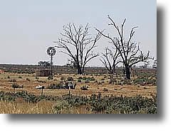 murraydarling.jpg murraydarling.jpg