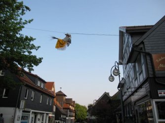 IMG_1232.jpg IMG_1232.jpg