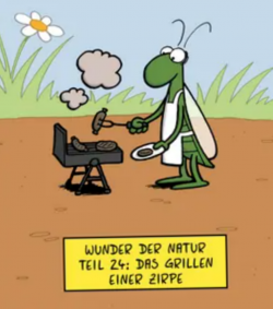 9.png