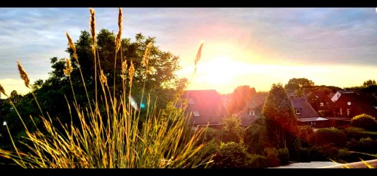 Screenshot_20220621-221310_Gallery.jpg