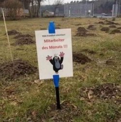 1Unbenannt - Kopie.JPG
