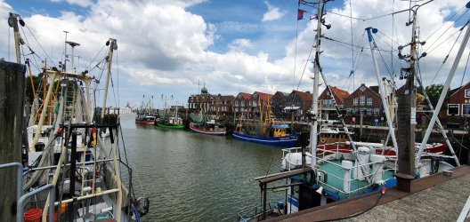 20220625_155027.jpg