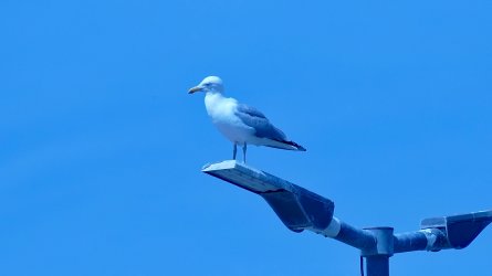 P1010768web.jpg