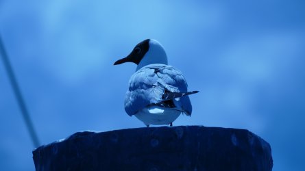 Bild-26.jpg