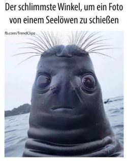 5Unbenannt - Kopie.JPG
