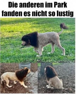 6Unbenannt - Kopie.JPG