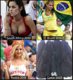 1657441235840.png
