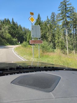 IMG_20220716_121629.jpg