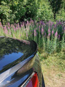 IMG_20220716_123542.jpg
