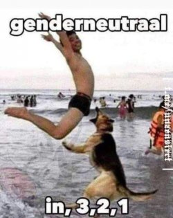 4321923-fcb205babce444c2c669655f715e06ea.jpg