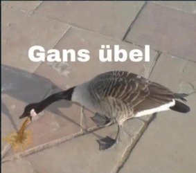 Screenshot_20220721-121143_WhatsApp.jpg Screenshot_20220721-121143_WhatsApp.jpg