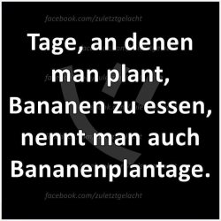 Bananenplantage.jpg