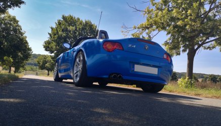 z6.jpg