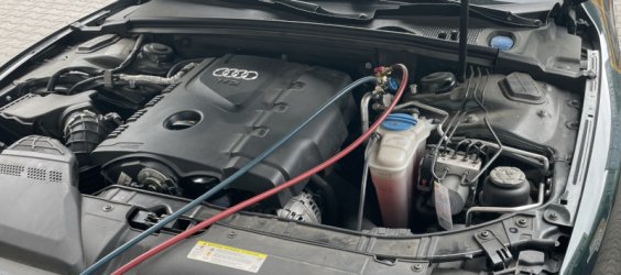 Quattro Boxenstopp.JPEG