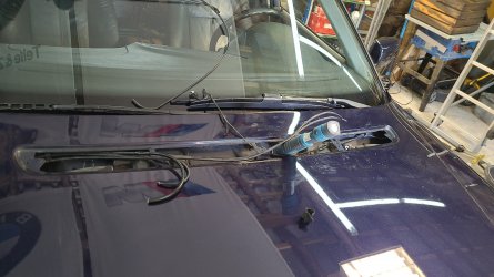 IMG-20220806-WA0046.jpeg