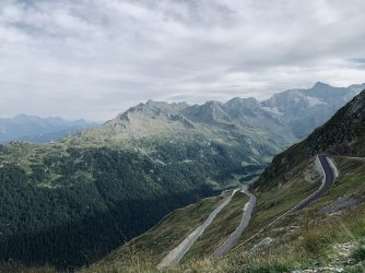 0BC00204-C39B-4CF3-A886-9DF449BA18AD.jpeg