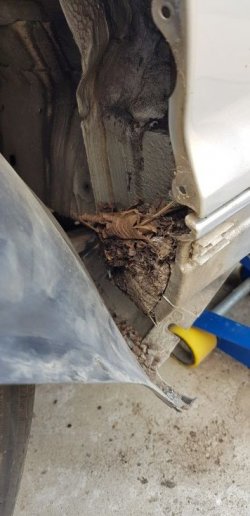 1660593412282.jpeg 1660593412282.jpeg