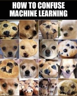 AF82088C-00F8-4CB9-9557-7AC65A20B9F5.jpeg
